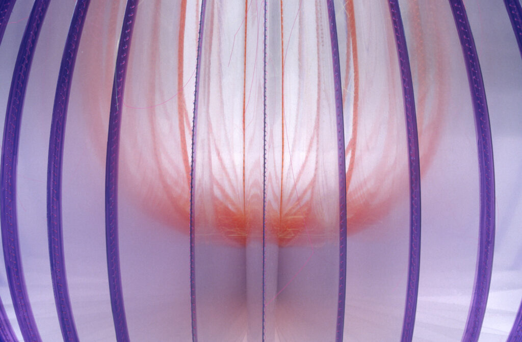 Lines and Light, detail